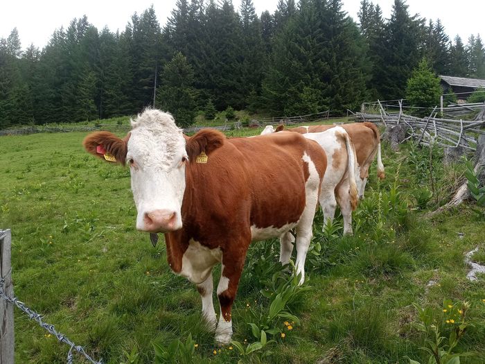 [1769607667795870_1.jpg]