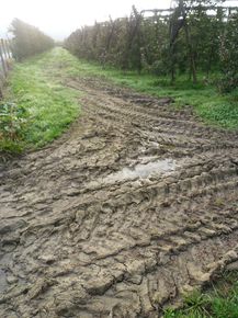 [1769671973919347_5.jpg]