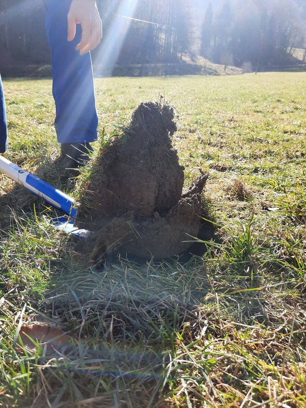 [1769756944943278_7.jpg]