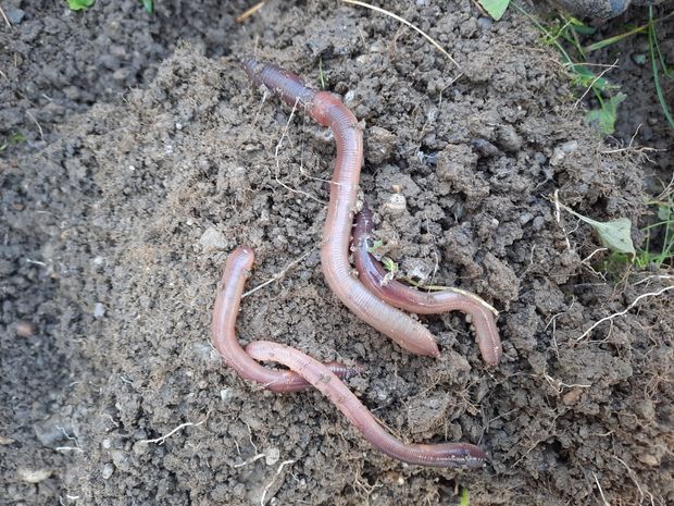 [1769756989232461_7.jpg]