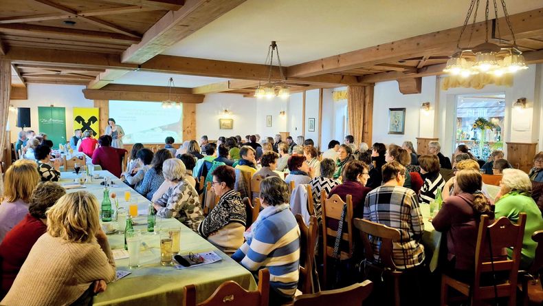 Bild 6.jpg Bild 6.jpg