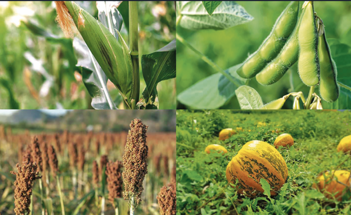 [1770031373369476_1.jpg]