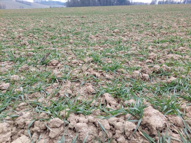 [1770035859000838_7.jpg]