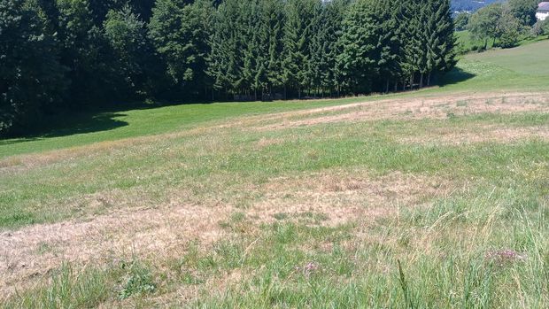 [177004072909623_7.jpg]