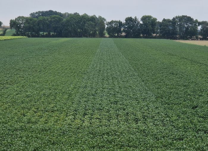 [1770043004203589_1.jpg]