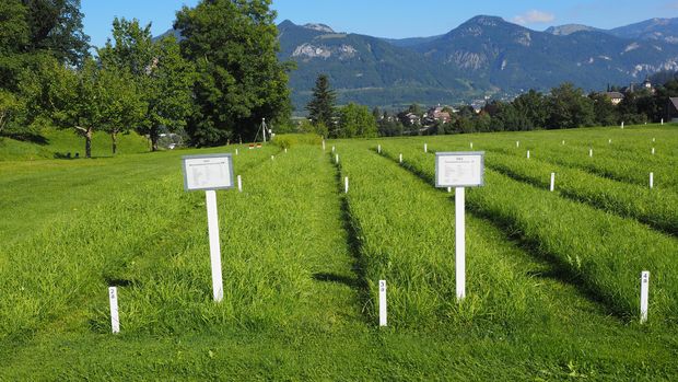 [1770106700326869_7.jpg]