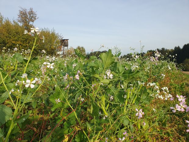 [177011214082163_7.jpg]