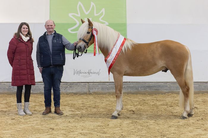 [1770124671483914_1.jpg]