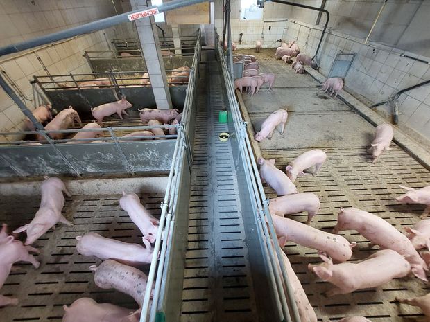 [1770202211600648_7.jpg]