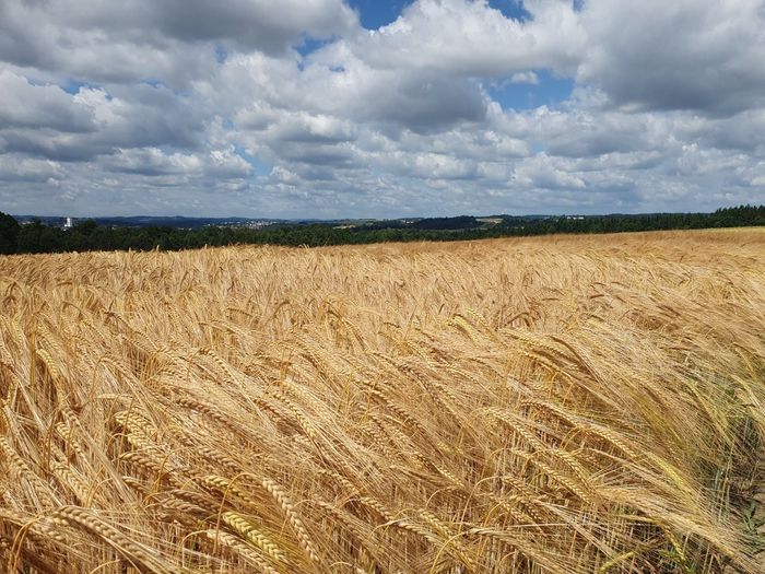 [1770283223855526_1.jpg]