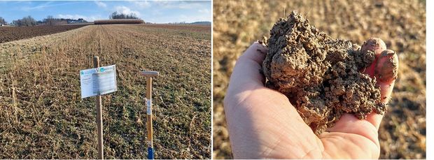 [1770623521202978_7.jpg]