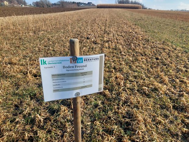 [1770623803088142_7.jpg]