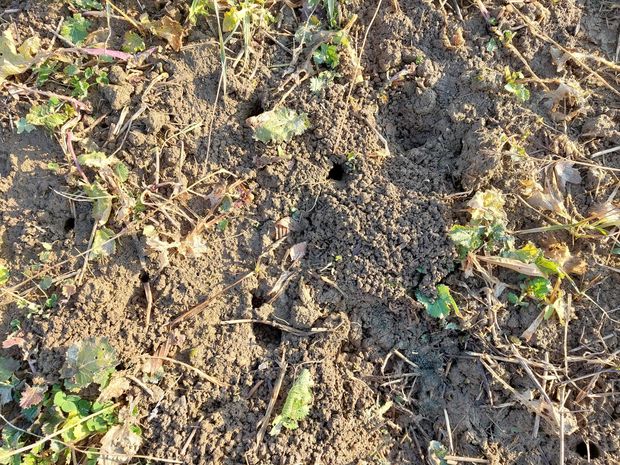 [1770623954358248_7.jpg]