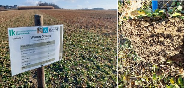 [1770624548208549_7.jpg]