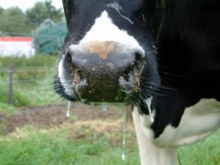 [1770965401248719_1.jpg]