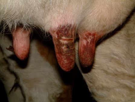 [1770965404115937_1.jpg]