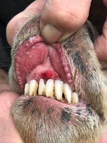 [1770965415986838_5.jpg]