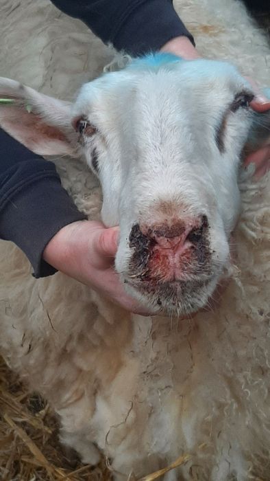 [1770965937945983_1.jpg]