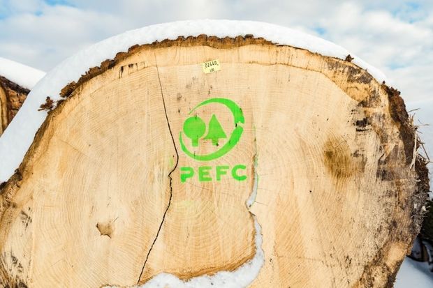 [1771230180596696_7.jpg]