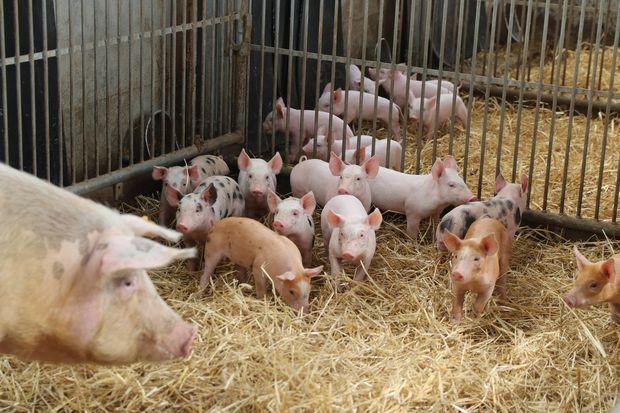 [1771234833299257_7.jpg]