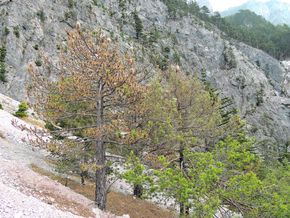 [1771241011674323_5.jpg]