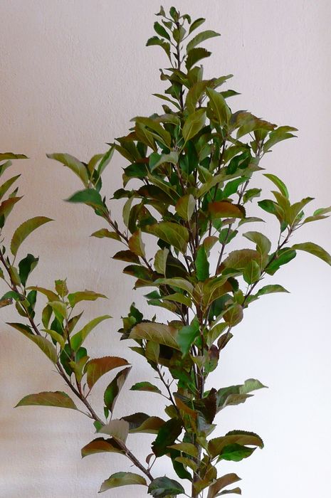 [1771396325677443_1.jpg]