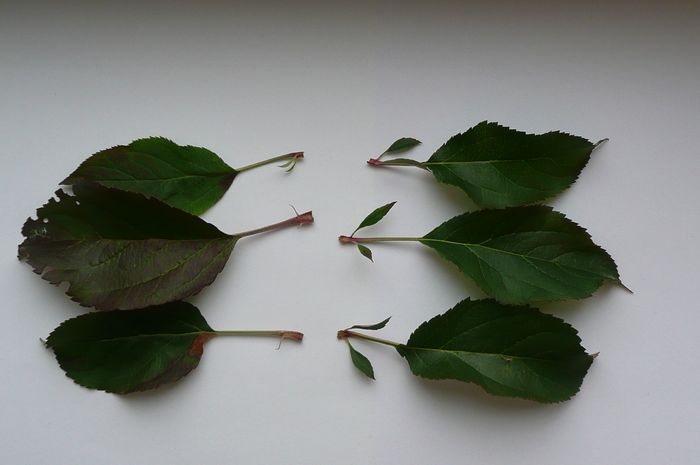 [1771396398740442_1.jpg]