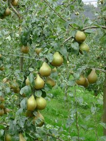 [1771400256882940_5.jpg]