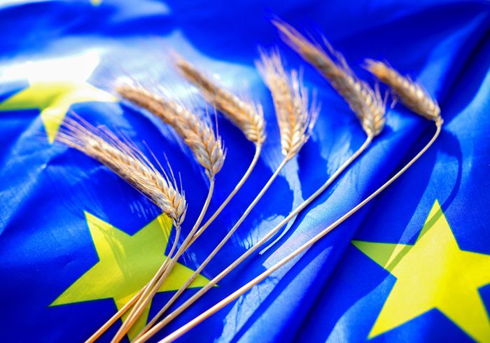 [177141385932550_1.jpg]