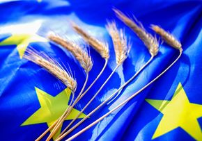 [177141385932550_5.jpg]