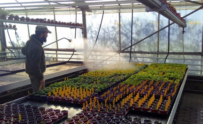 [1771414647304366_1.jpg]