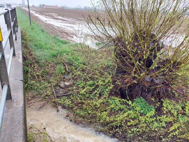 [17715016333964_7.jpg]