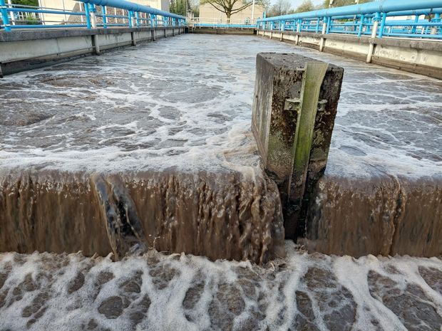 [1771501689768184_7.jpg]