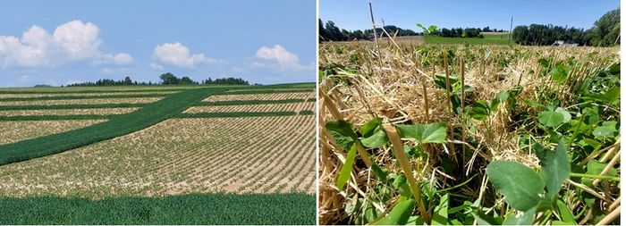 [1771502211857772_1.jpg]