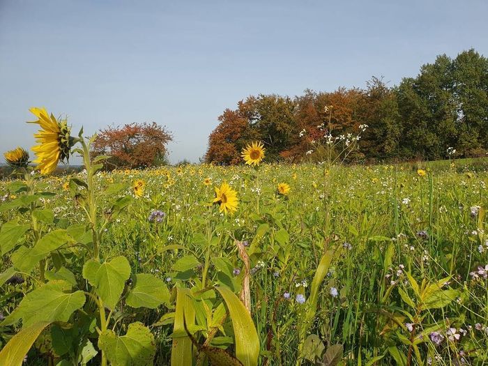 [1771509676781757_1.jpg]