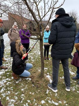 [177178458189360.jpg]