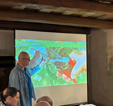 [1771784587410338.jpg]