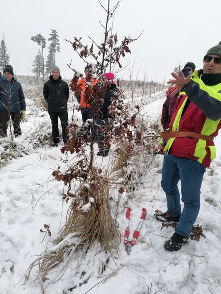 Wertastungskurs © Die Bäuerinnen im Gebie Raabs/Thaya Wertastungskurs © Die Bäuerinnen im Gebie Raabs/Thaya