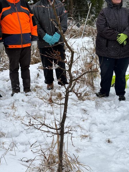 Wertastungskurs © Die Bäuerinnen im Gebie Raabs/Thaya Wertastungskurs © Die Bäuerinnen im Gebie Raabs/Thaya