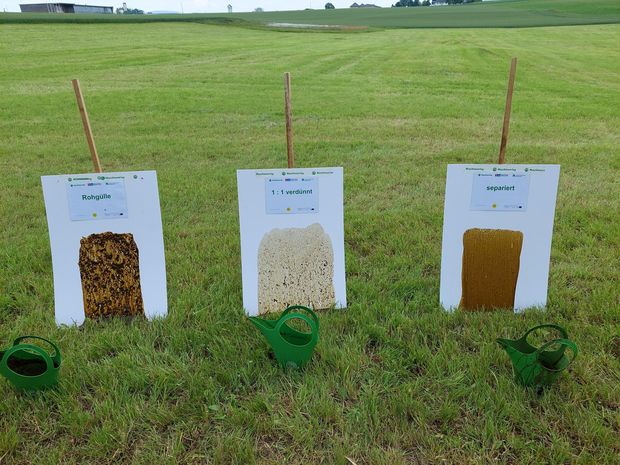 [1772011250644858_7.jpg]