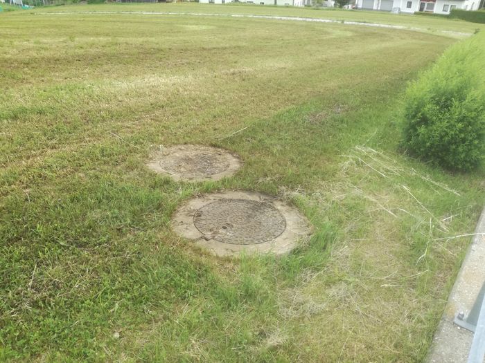 [1772011328777463_1.jpg]