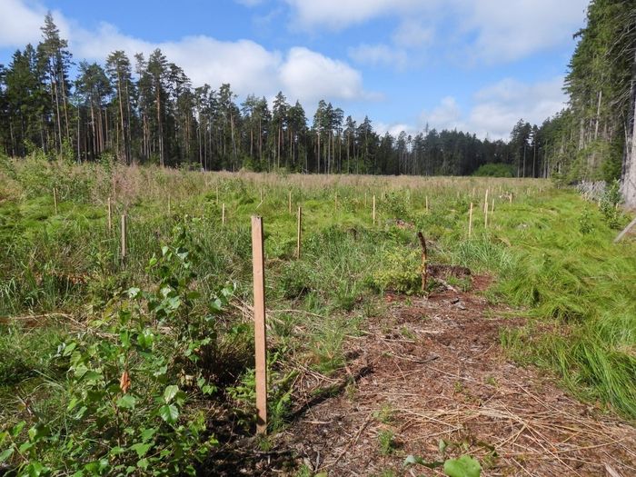 [1772108712858151_1.jpg]