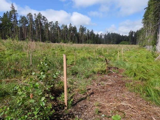 [1772108712858151_7.jpg]