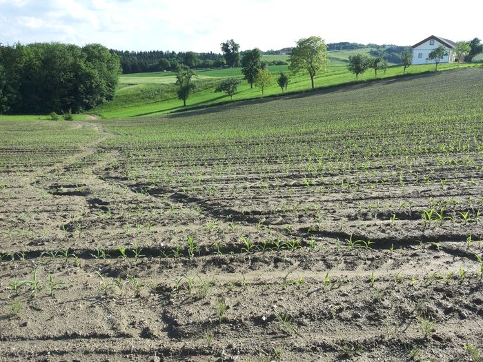 [1772181755268477_1.jpg]