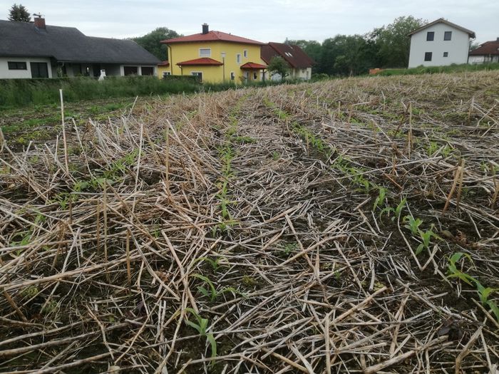 [1772184999854145_1.jpg]