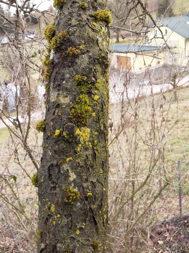 [1772185480523174_7.jpg]