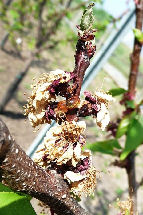 [177218915937820_1.jpg]