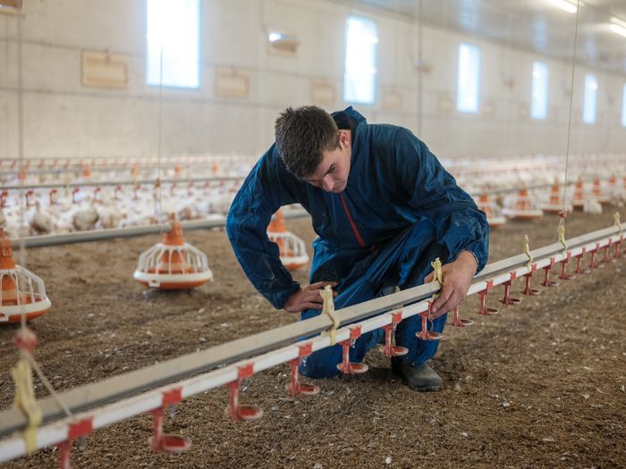 [1772189207997391_1.jpg]