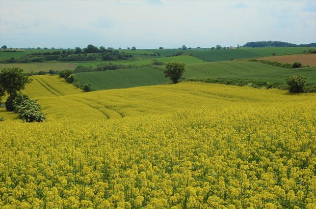 [1772205041602389_7.jpg]