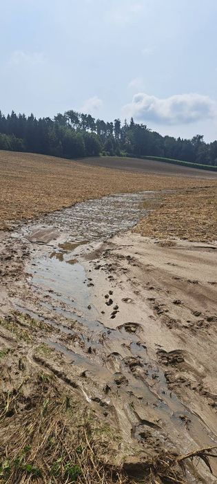 [177244209253392_1.jpg]